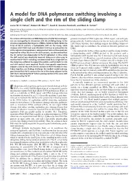 A Model for DNA Polymerase Switching Involving a Single Cleft and the Rim of the Sliding Clamp
