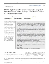 RB1CC1 Duplication and Aberrant Overexpression in a Patient with Schizophrenia: Further Phenotype Delineation and Proposal of a Pathogenetic Mechanism