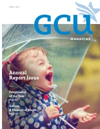 Annual Report Issue