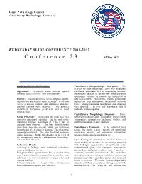 WSC 11-12 Conf 23 Layout