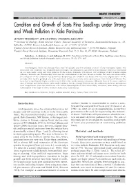 Condition and Growth of Scots Pine Seedlings Under Strong and Weak Pollution in Kola Peninsula