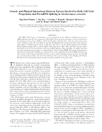 Genetic and Physical Interactions Between Factors Involved in Both Cell Cycle Progression and Pre-Mrna Splicing in Saccharomyces Cerevisiae