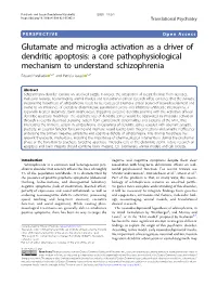 Glutamate and Microglia Activation As a Driver of Dendritic Apoptosis: a Core Pathophysiological Mechanism to Understand Schizop