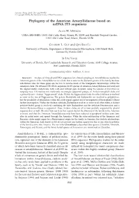 Phylogeny of the American Amaryllidaceae Based on Nrdna ITS Sequences