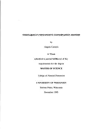 Angela Cannon a Thesis Submitted in Partial Fulfillment of The