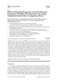Effect of Operating Parameters on the Performance Evaluation of Benthic Microbial Fuel Cells Using Sediments from the Bay of Campeche, Mexico