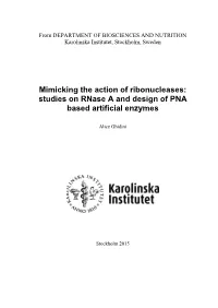 Mimicking the Action of Ribonucleases: Studies on Rnase a and Design of PNA Based Artificial Enzymes