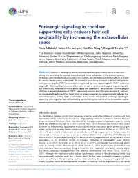Purinergic Signaling in Cochlear Supporting Cells Reduces Hair