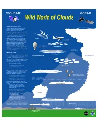 Wild World of Clouds