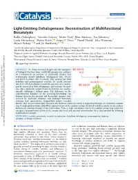 Light-Emitting Dehalogenases