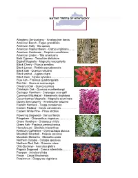 Native Trees of Kentucky