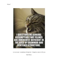 Verge 7 Iz in Ur Meme / Aminalizin Teh Langwich: a Linguistic Study Of