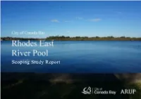 Scoping Study Report