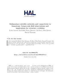 Sedimentary Stylolite Networks and Connectivity in Limestone