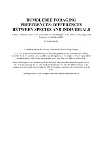 Thesis Submitted As Part of the Requirements for the Degree of B