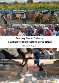 Feeding Dar Es Salaam: a Symbiotic Food System Perspective Marc Wegerif C
