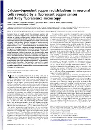 Calcium-Dependent Copper Redistributions in Neuronal Cells Revealed by a Fluorescent Copper Sensor and X-Ray Fluorescence Microscopy