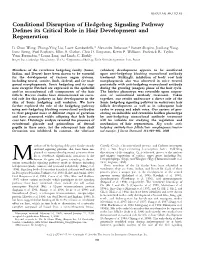 Conditional Disruption of Hedgehog Signaling Pathway Defines Its