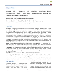 Design and Production of Arginine Deiminase-Azurin Recombinant Fusion Protein from Pseudomonas Aeruginosa and Its Confirmation by Western Blot