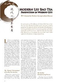 Modern Liu Bao