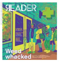 A Morning at the CBD Shop Surviving with Marijuana the CTA's Chronic Problem