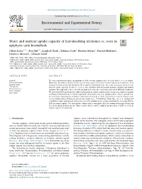 Water and Nutrient Uptake Capacity of Leaf-Absorbing Trichomes Vs