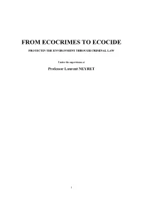 From Ecocrimes to Ecocide