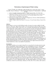 Mechanisms of Spatiotemporal Mode-Locking