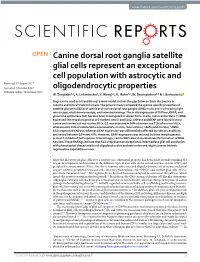 Canine Dorsal Root Ganglia Satellite Glial Cells Represent an Exceptional Cell Population with Astrocytic and Oligodendrocytic P