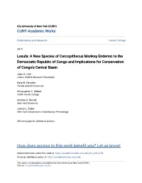 Lesula: a New Species of Cercopithecus Monkey Endemic to the Democratic Republic of Congo and Implications for Conservation of Congo’S Central Basin