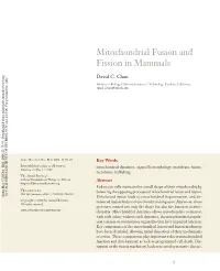 Mitochondrial Fusion and Fission in Mammals