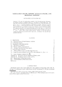 Modulation Spaces, Wiener Amalgam Spaces, and Brownian Motions