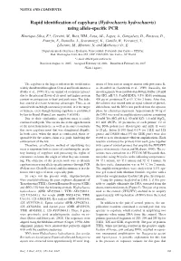 Using Allele-Specific