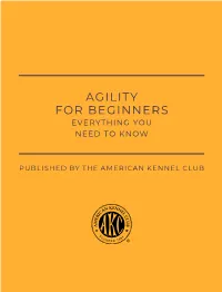 Agility for Beginners Everything You Need to Know