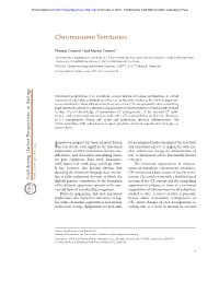 Chromosome Territories