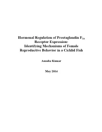 Hormonal Regulation of Prostaglandin F2α Receptor Expression: Identifying Mechanisms of Female Reproductive Behavior in a Cichlid Fish