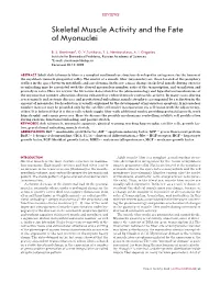 Skeletal Muscle Activity and the Fate of Myonuclei