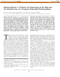 Human Elastase 1: Evidence for Expression in the Skin and the Identi®Cation of a Frequent Frameshift Polymorphism