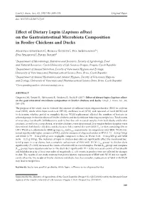 Lupinus Albus) on the Gastrointestinal Microbiota Composition in Broiler Chickens and Ducks
