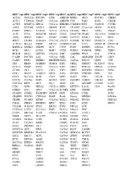 Comp Add 1.Pdf