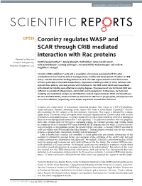Coronin7 Regulates WASP and SCAR Through CRIB Mediated Interaction