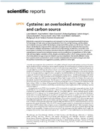 Cysteine: an Overlooked Energy and Carbon Source