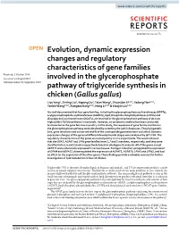 Evolution, Dynamic Expression Changes and Regulatory Characteristics of Gene Families Involved in the Glycerophosphate Pathway O