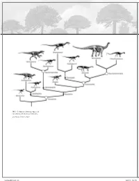 18.1. Cladogram Showing Suggested Relationships of the Basal Dinosaurs