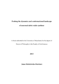 Chapter 5 High-Pressure Stopped-Flow Kinetic Studies of Nnos