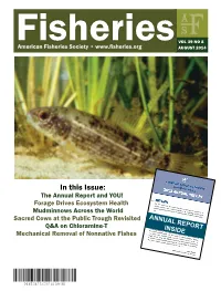 In This Issue