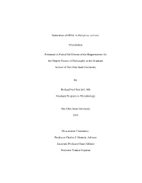 Maturation of Trna in Haloferax Volcanii. Dissertation Presented In