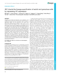 Wt1 Directs the Lineage Specification of Sertoli and Granulosa Cells By
