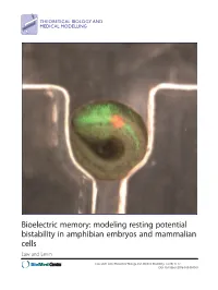 Bioelectric Memory: Modeling Resting Potential Bistability in Amphibian Embryos and Mammalian Cells Law and Levin