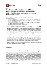 Combinatorial Avidity Selection of Mosaic Landscape Phages Targeted at Breast Cancer Cells—An Alternative Mechanism of Directed Molecular Evolution